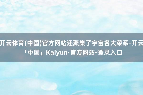 开云体育(中国)官方网站还聚集了宇宙各大菜系-开云「中国」Kaiyun·官方网站-登录入口