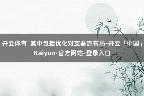 开云体育  其中包括优化对支吾流布局-开云「中国」Kaiyun·官方网站-登录入口