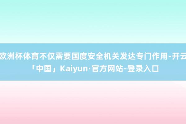 欧洲杯体育不仅需要国度安全机关发达专门作用-开云「中国」Kaiyun·官方网站-登录入口